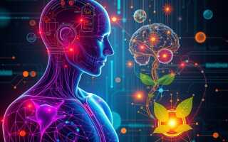 Биохакинг: методы, иммортализм и расширение возможностей человека